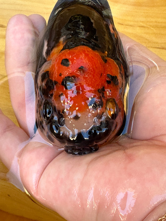 Close-up of a hand holding a black and red object against a wooden surface