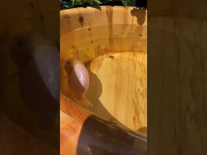 Jade Rabbit Ranchu – 4 in