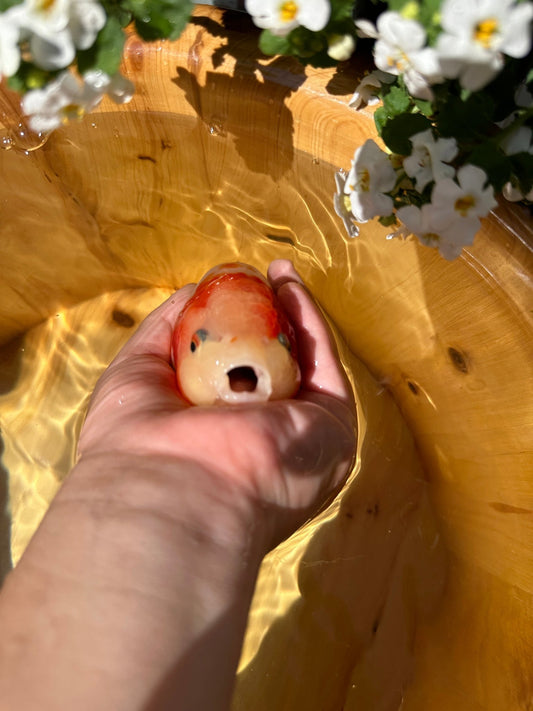 Sakura Ranchu - 5 inches - Lunar Fancies